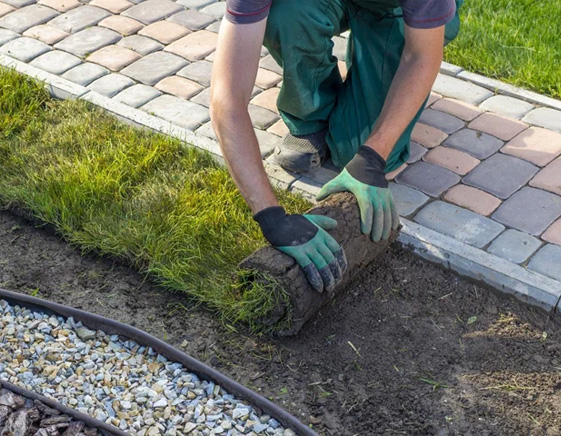 dynamichts-Landscaping-service-landscaping-image